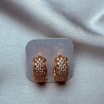 Radiant Gold & Crystal Encrusted Hoop Earrings